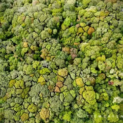 Mang Den Waterfall - Pleiku