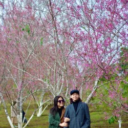 Mang Den Waterfall - Pleiku