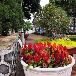 Pleiku War Museum - Pleiku