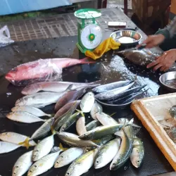 Binh Son Market - Quang Ngai