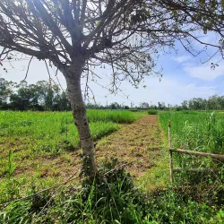 Chau Sa Champa Citadel - Quang Ngai