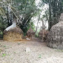 Chau Sa Champa Citadel - Quang Ngai