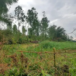 Chau Sa Champa Citadel - Quang Ngai