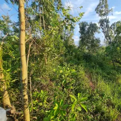 Chau Sa Champa Citadel - Quang Ngai