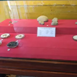 Sa Huynh Culture Museum - Quang Ngai