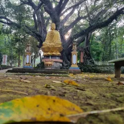 Thien An Pagoda - Quang Ngai
