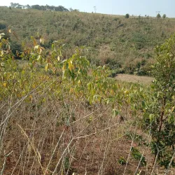 Truong Son Mountain Range - Quang Ngai