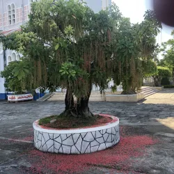 Quy Nhon Cathedral (Sacred Heart Cathedral) - Quy Nhon City