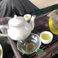 Dai Tu Tea Plantation - Thai Nguyen