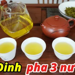 Dai Tu Tea Plantation - Thai Nguyen