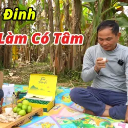 Dai Tu Tea Plantation - Thai Nguyen