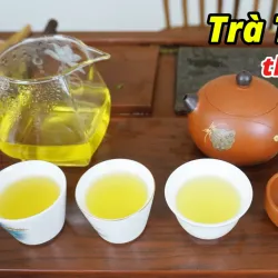 Dai Tu Tea Plantation - Thai Nguyen