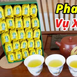 Dai Tu Tea Plantation - Thai Nguyen