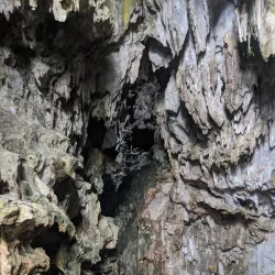 Phuong Hoang Cave - Thai Nguyen