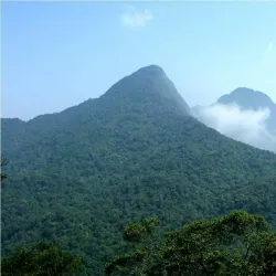 Tam Dao National Park - Thai Nguyen