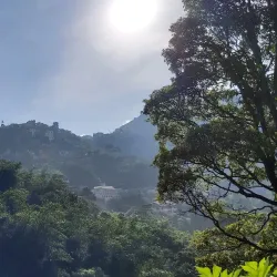 Tam Dao National Park - Thai Nguyen