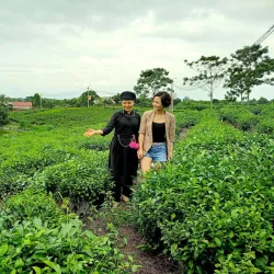 Tan Cuong Tea Village - Thai Nguyen