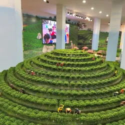 Tan Cuong Tea Village - Thai Nguyen