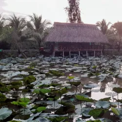 Dong Thap Muoi Wetlands - TP Cao Lanh