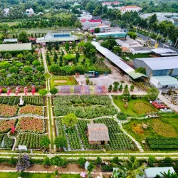 Sa Dec Flower Village - TP Cao Lanh