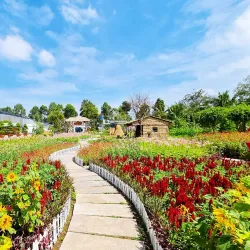 Sa Dec Flower Village - TP Cao Lanh