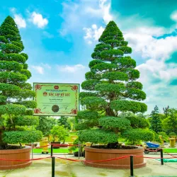 Sa Dec Flower Village - TP Cao Lanh