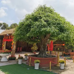 Sa Dec Flower Village - TP Cao Lanh