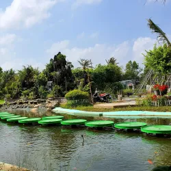 Sa Dec Flower Village - TP Cao Lanh