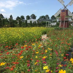 Sa Dec Flower Village - TP Cao Lanh