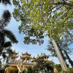 Tan Long Pagoda - TP Cao Lanh