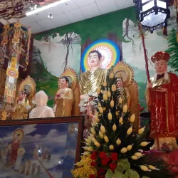 Tan Long Pagoda - TP Cao Lanh