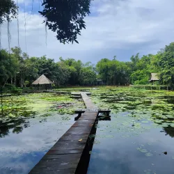 Xeo Quyt Forest - TP Cao Lanh