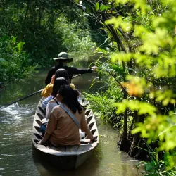 Xeo Quyt Forest - TP Cao Lanh