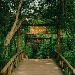 Xeo Quyt Forest - TP Cao Lanh