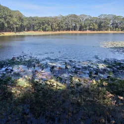 Ang Pagoda (Chùa Ang) - Tra Vinh