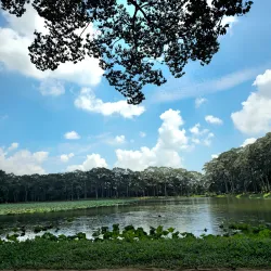 Ba Om Pond (Hồ Ba Om) - Tra Vinh
