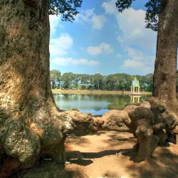 Ba Om Pond (Hồ Ba Om) - Tra Vinh
