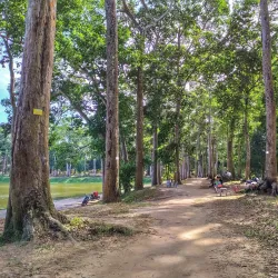 Ba Om Pond (Hồ Ba Om) - Tra Vinh