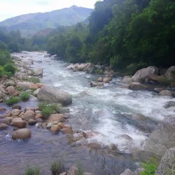 Hon Ba Nature Reserve - Tuy Hoa