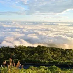 Ba Vi National Park - Viet Tri