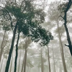 Ba Vi National Park - Viet Tri