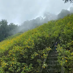 Ba Vi National Park - Viet Tri