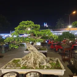 Phu Tho Museum - Viet Tri