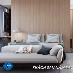 Tam Giang Lake - Viet Tri