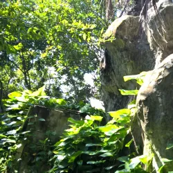 Binh Hoa Phuoc Pagoda - Vinh Long