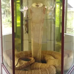 Dong Tam Snake Farm - Vinh Long