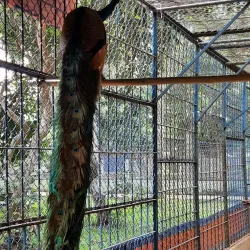 Dong Tam Snake Farm - Vinh Long