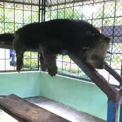 Dong Tam Snake Farm - Vinh Long