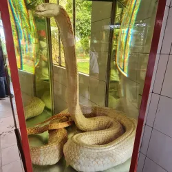 Dong Tam Snake Farm - Vinh Long