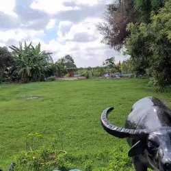 Vinh Long Cultural Park - Vinh Long